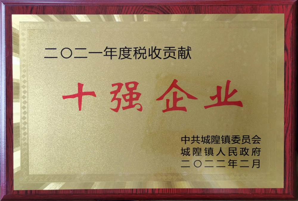 十強(qiáng)企業(yè)